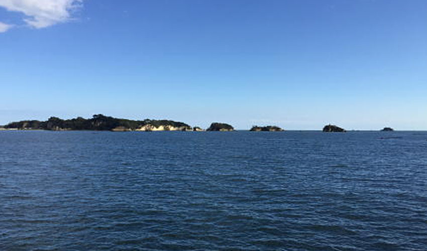 ブログサムネイル
